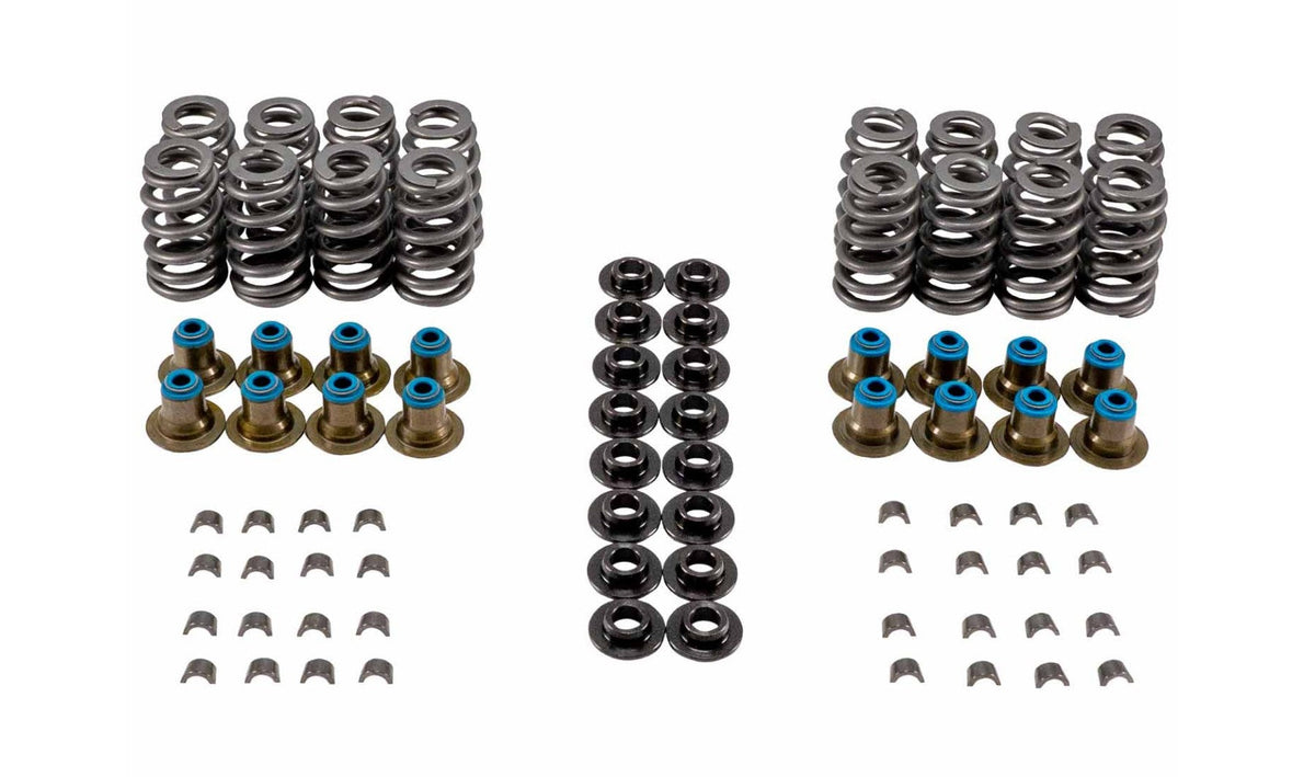 Valve Spring Kit - VSK46694