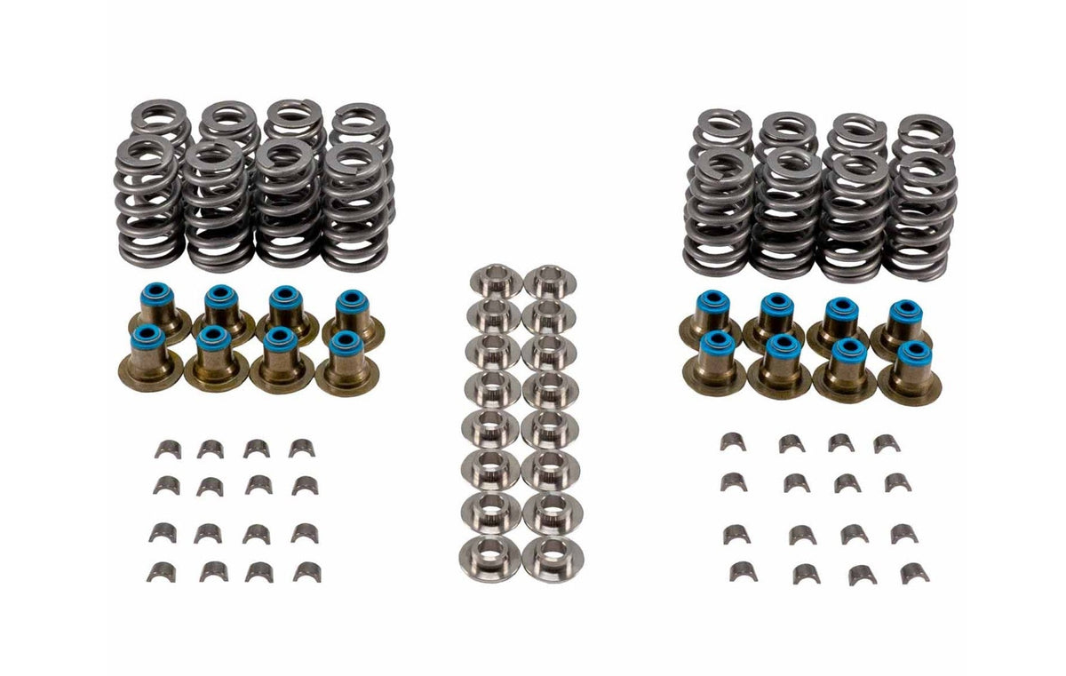 Valve Spring Kit - VSK46694T