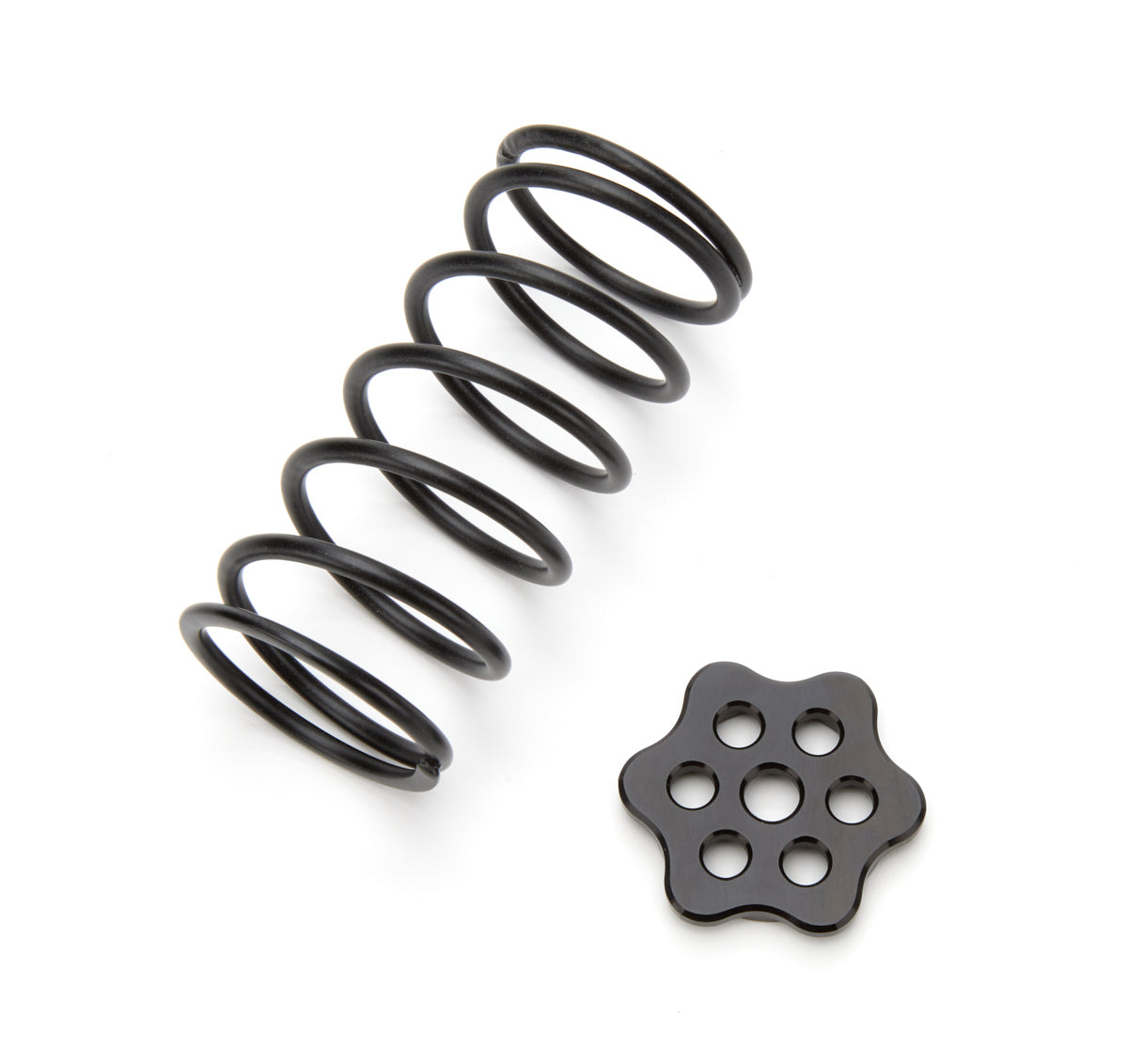 Master Cylinder Return Spring Kit All Black - MPD17990