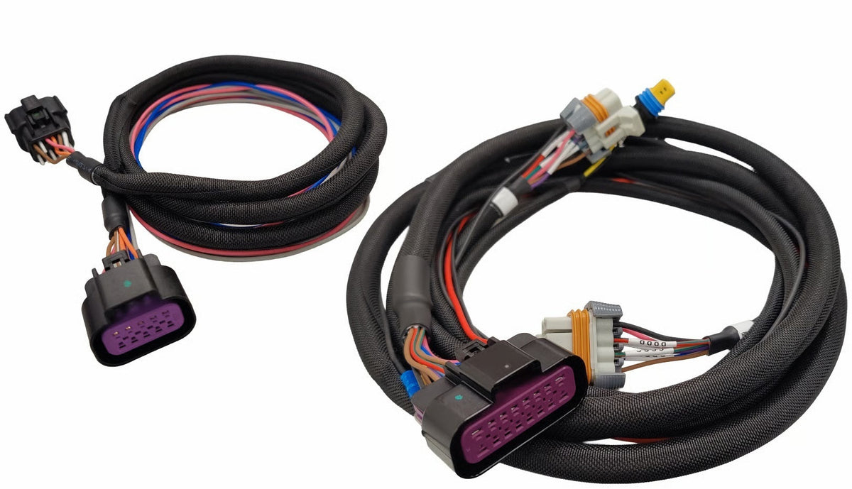 Ignition Wire Harness - 88014
