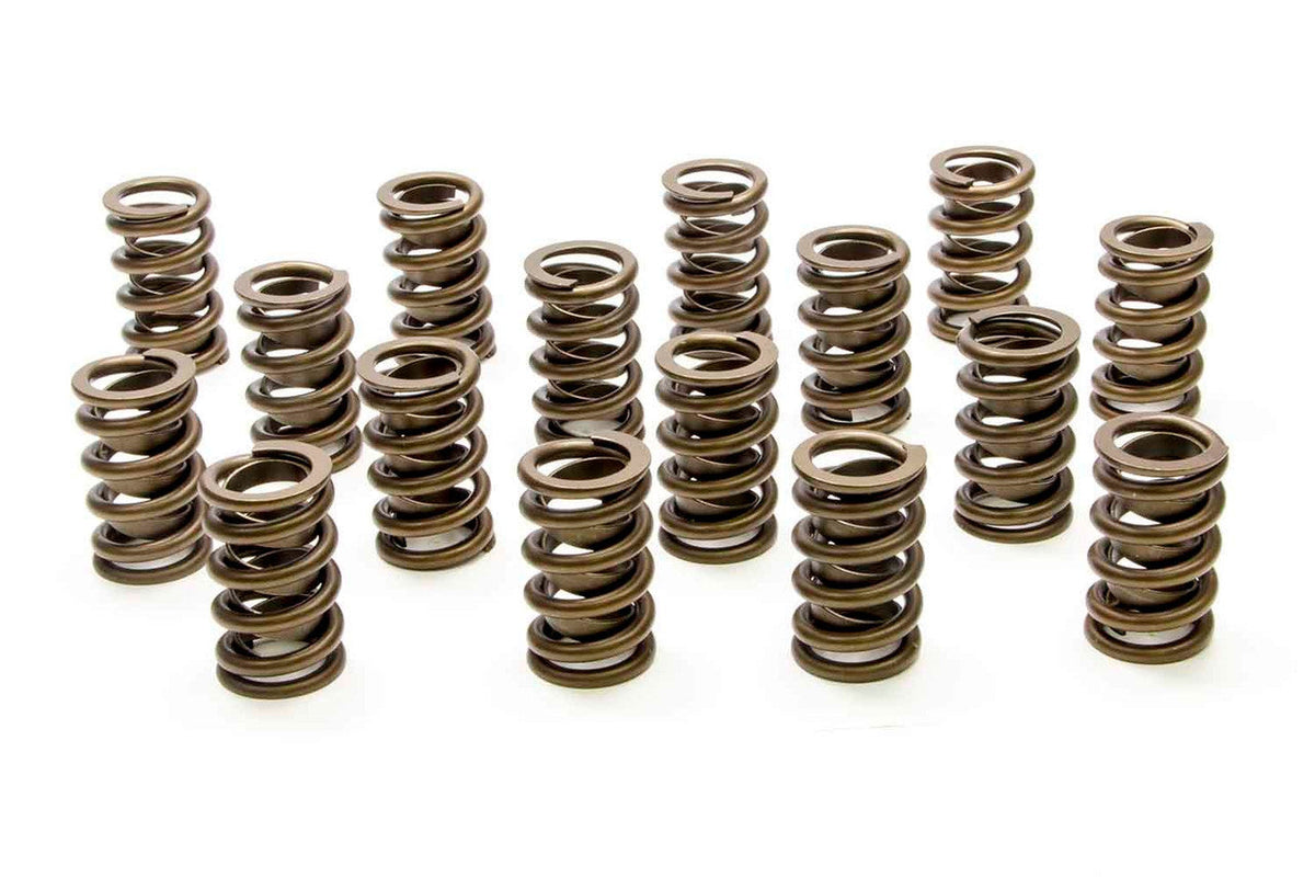 1.244 Single Valve Springs w/Damper (16) - PAC120016