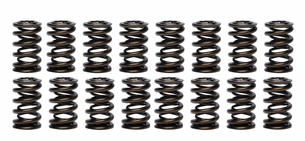1.260 Dual Valve Springs (16) - PAC120316