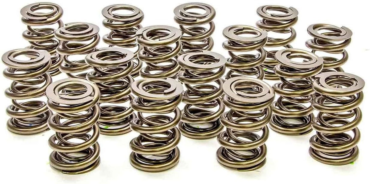 1.550 Dual Valve Springs (16) - PAC122616