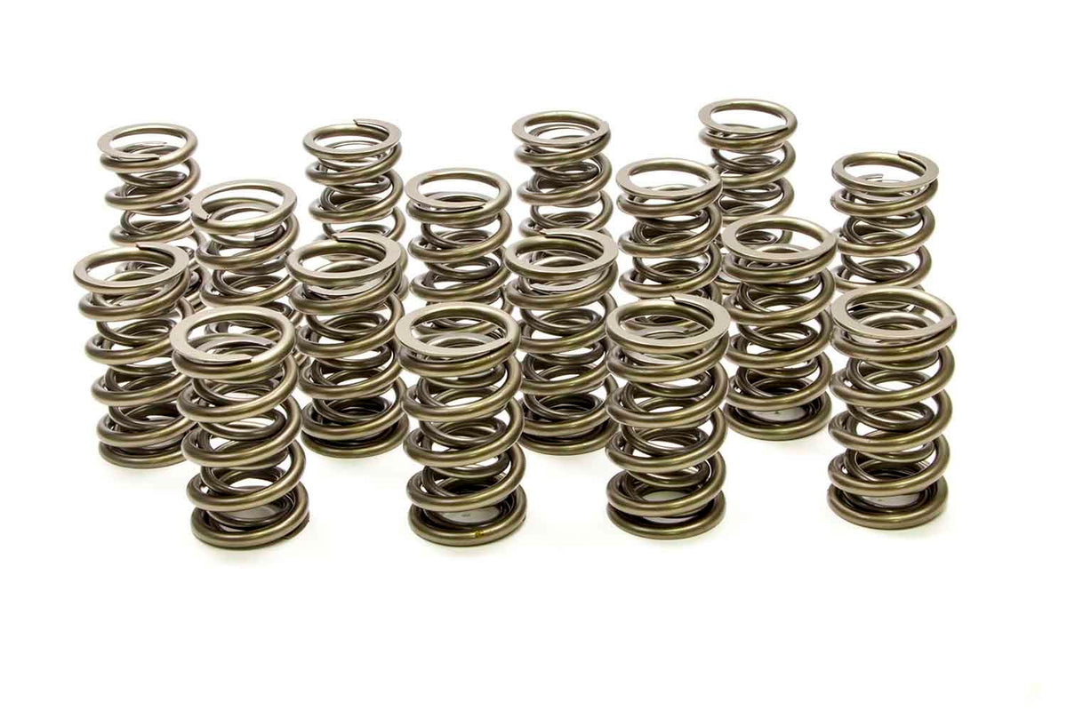1.564 Dual Valve Springs (16) - PAC138616