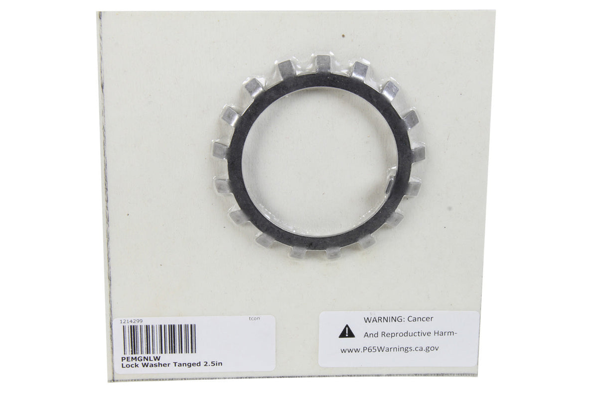 Lock Washer Tanged 2.5in GN - GNLW