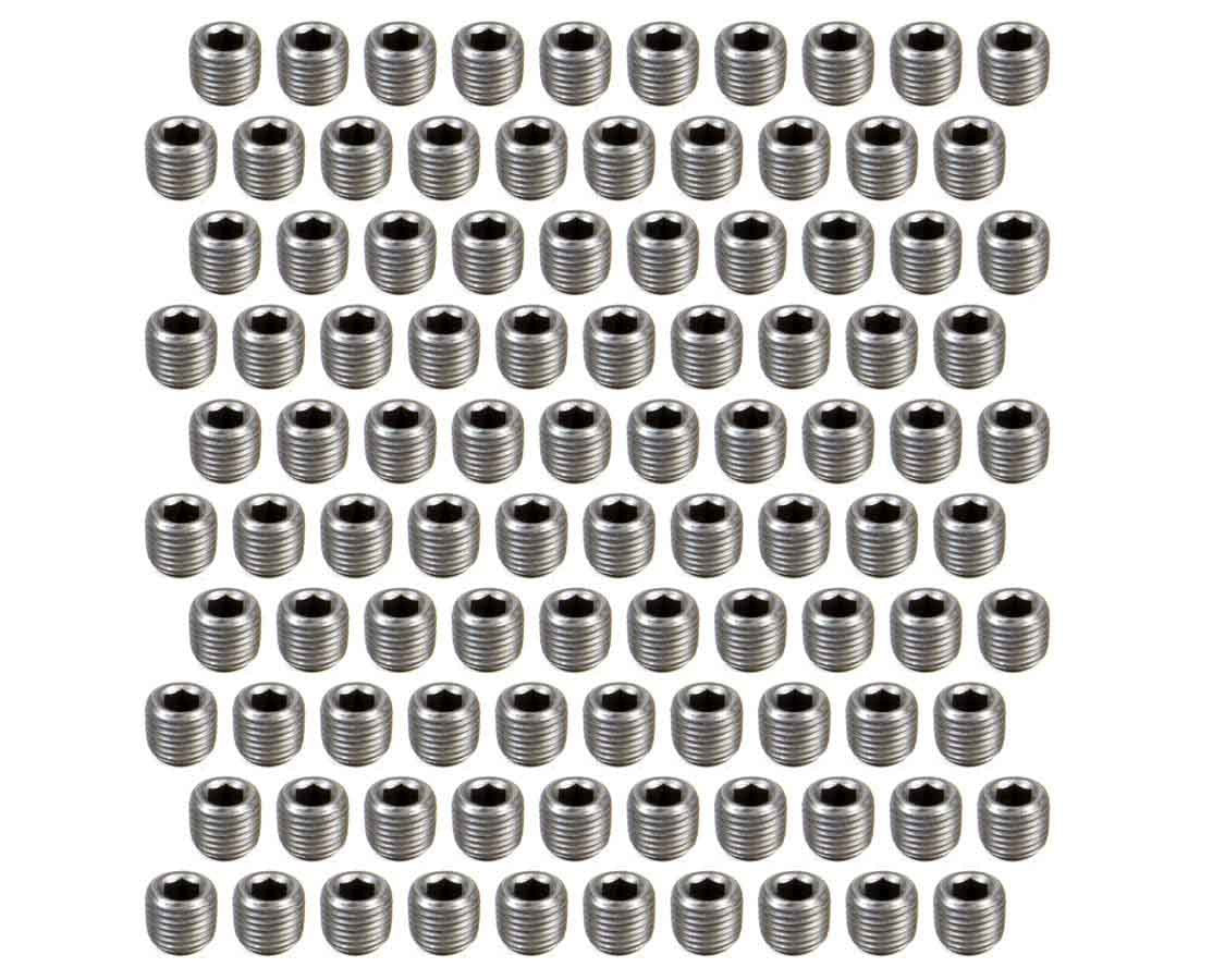 Pipe Plugs - (100) 1/4 NPT - Hex Head - PP507100