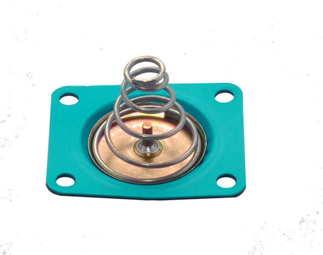 Diaphragm Kit - Pressure Regulator - Alcohol - 351100QFT