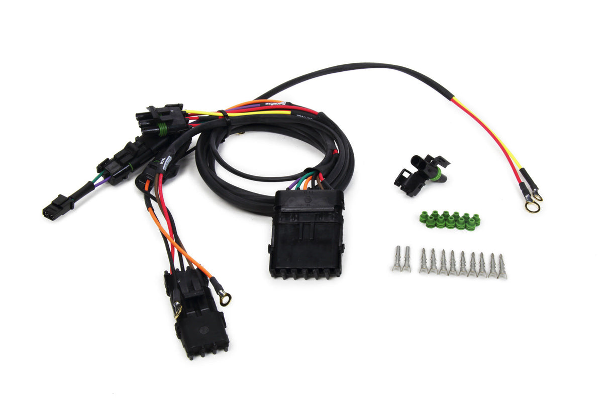 Wiring Harness Modified Single Box Weatherpack - 502033