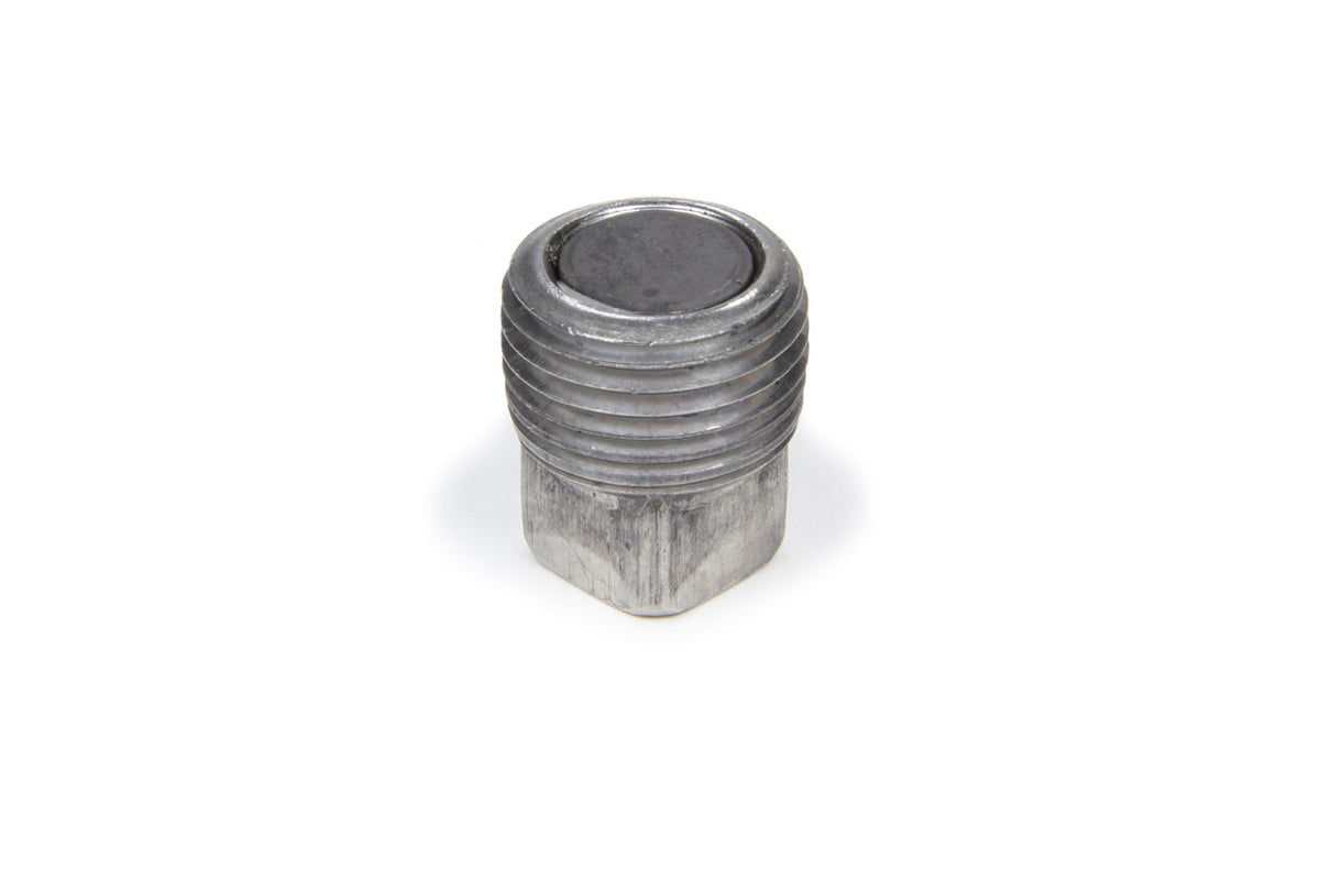 1/2in NPT Magnetic Drain Plug - 9064