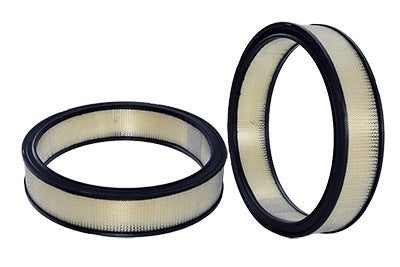 Air Filter - 42116