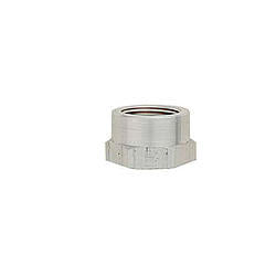 1/2in Female Weld In Bung - 996704
