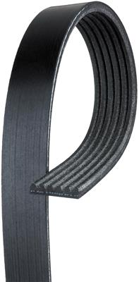 ACDelco Accessory Belts, V-Ribbed, Serpentine, 6-rib, 0.810 in. Width, 80.76 in. Length, Chevrolet - 19244950