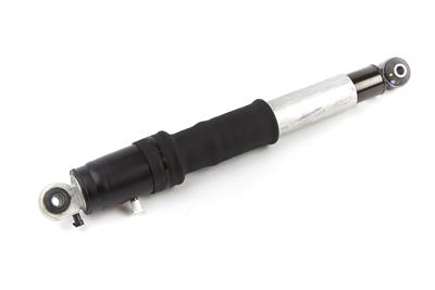 ACDelco Shock/Strut, Rear, Air, Cadillac, Chevy, GMC, Each - 5801094