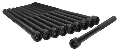 Ajusa Cylinder Head Fasteners, Original Head Bolt Kits, Internal 12-Point, Steel, Natural, Scion - 81032200