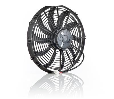 Be Cool Qualifier Fans - 75003