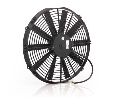 Be Cool Qualifier Fans - 75039