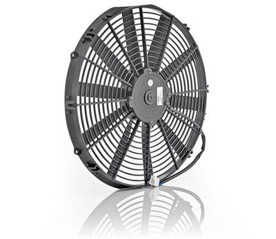 Be Cool Qualifier Fans - 75059