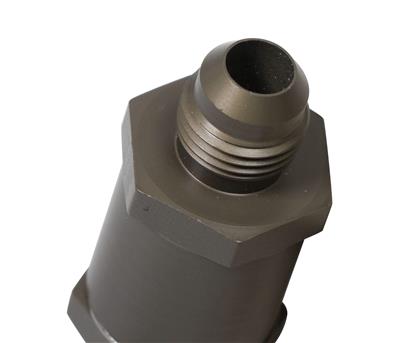 Earl's Performance Check Valves - 253012ERL