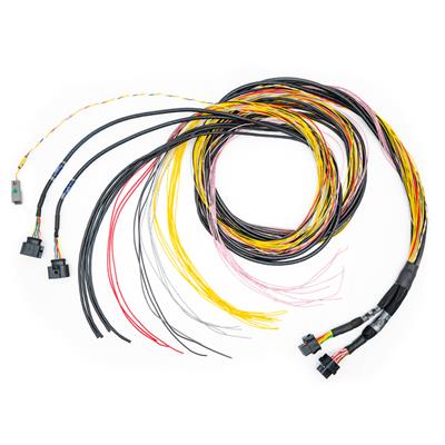 FuelTech FT700 C and D Unterminated Harnesses - 2001008771
