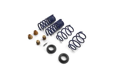 Ford Performance Parts Lowering Spring Kits - M5300S65S