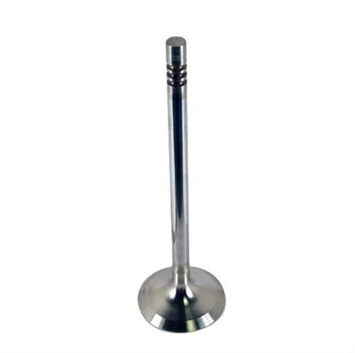Ford Performance Parts Valves - M6505M52