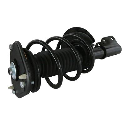 GSP Loaded Strut Assemblies - 810322