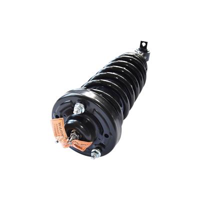 GSP Loaded Strut Assemblies - 811377
