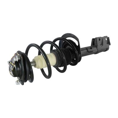 GSP Loaded Strut Assemblies - 812226