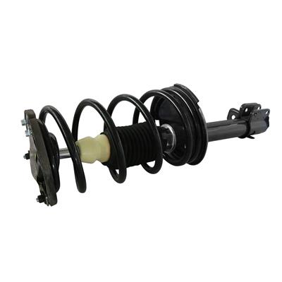 GSP Loaded Strut Assemblies - 812327