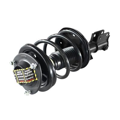GSP Loaded Strut Assemblies - 851001