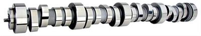 Howards Cams Hydraulic Roller Camshafts - 19026515