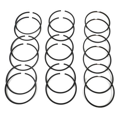 Hastings Premium Ductile Ring Sets - 2D4914