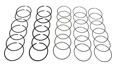 Hastings Premium Ductile Ring Sets - 2M4764040