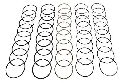 Hastings Premium Ductile Ring Sets - 2M639030