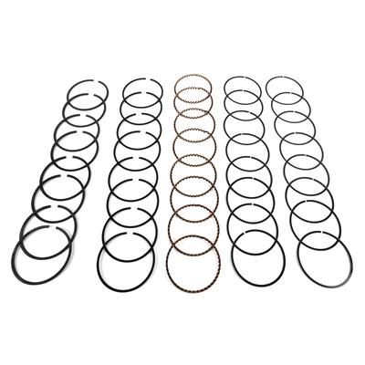 Hastings Premium Ductile Ring Sets - 2M660030