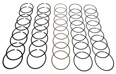 Hastings Premium Ductile Ring Sets - 2M8562030