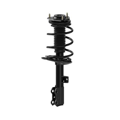 Monroe Quick-Struts - 173013