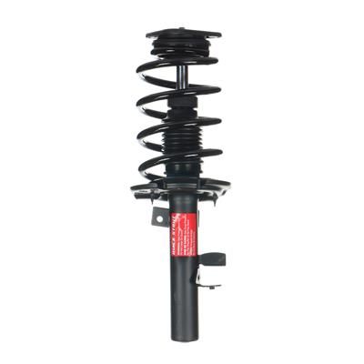 Monroe Quick-Struts - 272787
