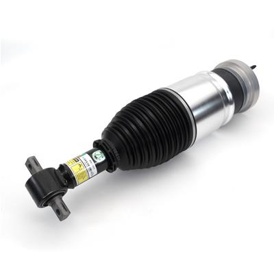 Arnott New OE Air Shocks and Struts - AS4411