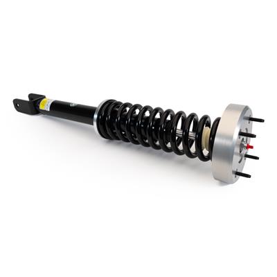 Arnott New Premium Shocks - SKE4368