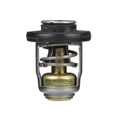 Quicksilver Thermostats - 8M0119207