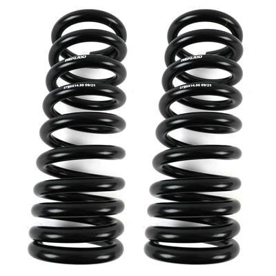 REKUDO Lowering Springs - RK20012