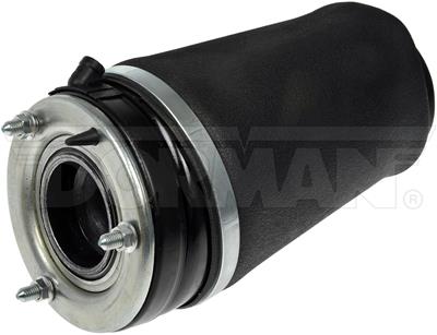 Dorman Active Air Suspension Springs - 949865