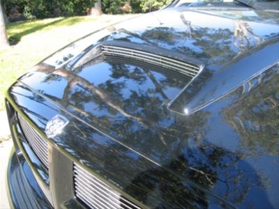 T-Rex T1 Series Hood Scoop Inserts - 20463