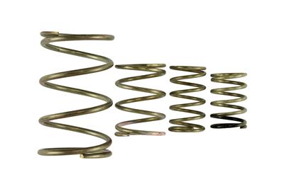 Turbosmart Wastegate Springs - TS05503150