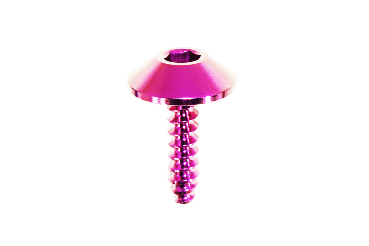 ZSPEC Fuel Door Dress Up Bolts® Hardware Kit for Lexus LC 500, Titanium
