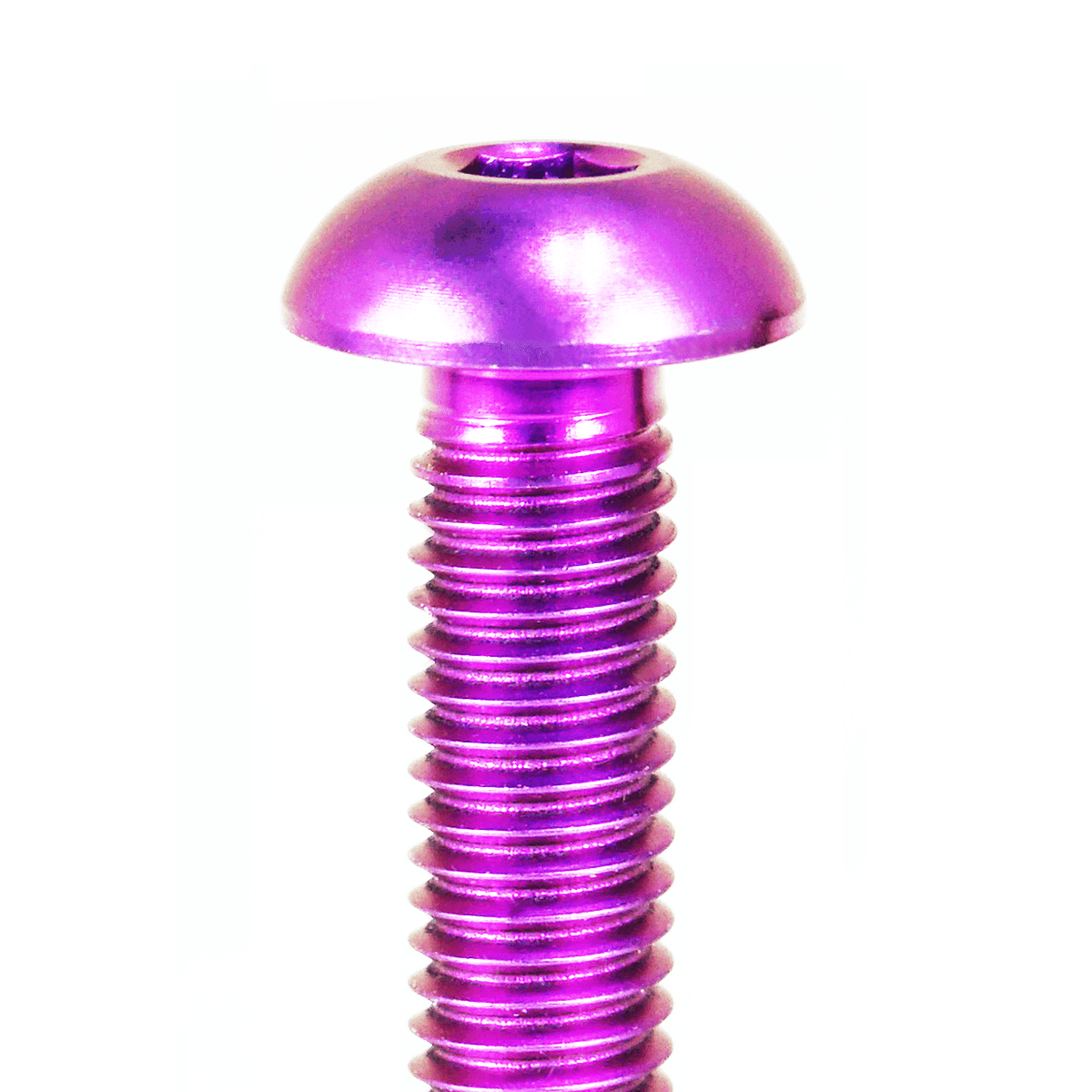 ZSPEC Button-Head Body Kit Fastener, M5x25mm w/ Rivet Nut, Titanium, Per Each