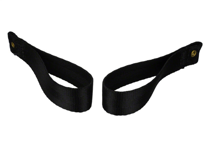 Ford Racing Bronco Tube Door Pull Strap M-19008-BTDP