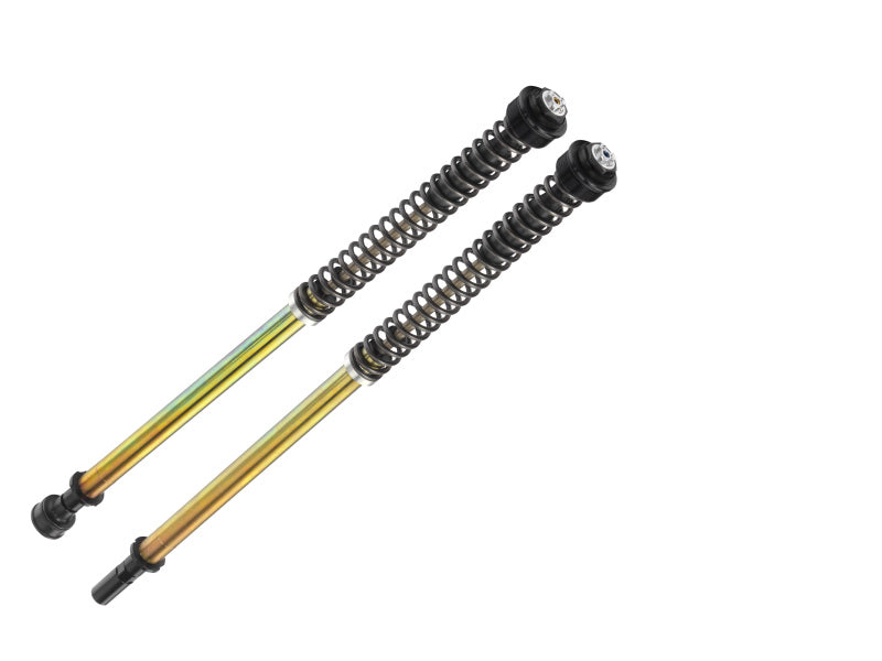 Bitubo Suspension Bitubo JBHV1 Pressurized Cartridge Adj.: Spring Preload, Rebound, Comp., w/o Oil, Red Ring S0064JBH01V1WO