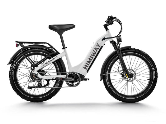 D5 ST(Zebra ST) / All-terrain Electric Fat Bike